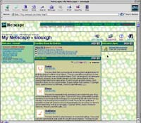 My Netscape Screen